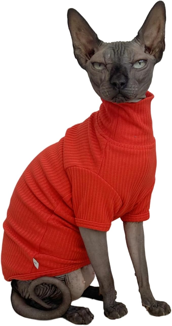 Apparel