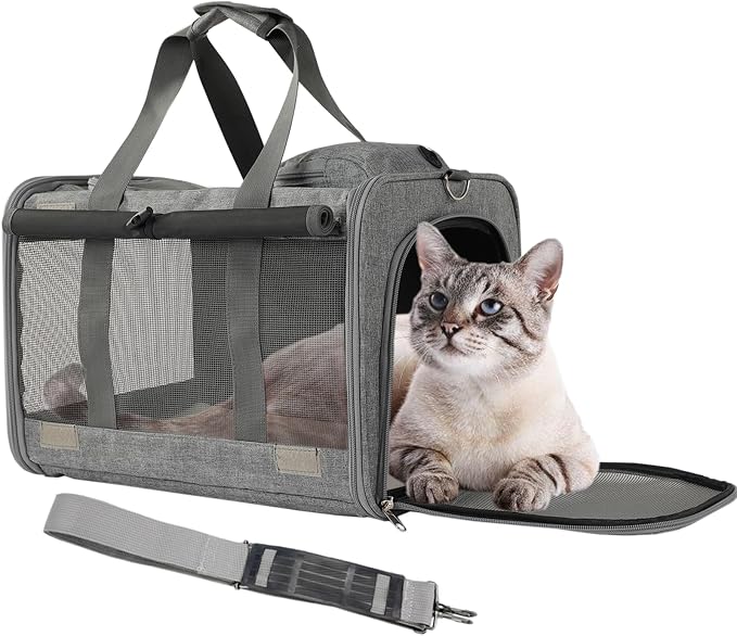 Carriers & Strollers