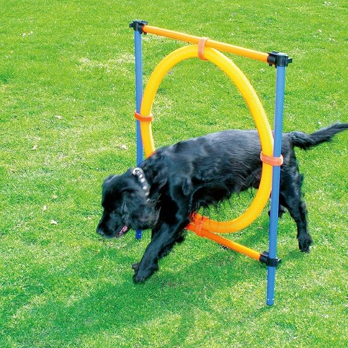 Training & Behavior Aids