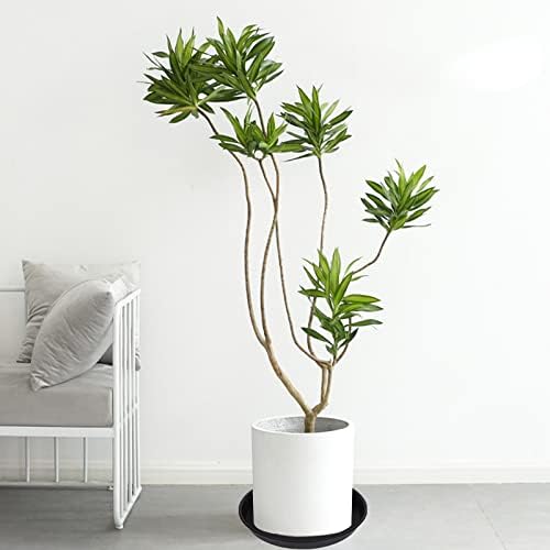 6 Pack of 12 inch Plant Saucer, Heavy Duty Plastic Plant Saucer 12 inch Round - Image 4