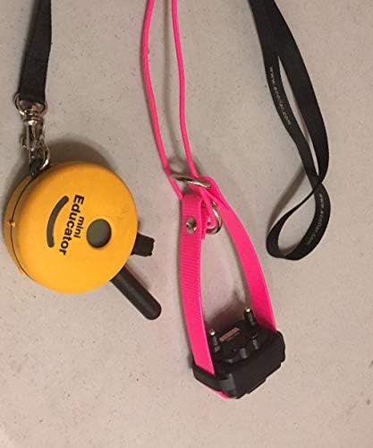 Sparky Pet Co - ECollar Replacement Strap - Bungee Dog Collar - Waterproof - - Image 8