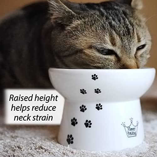 Necoichi Raised Cat Food Bowl – Ceramic Elevated Cat Bowl - Image 2