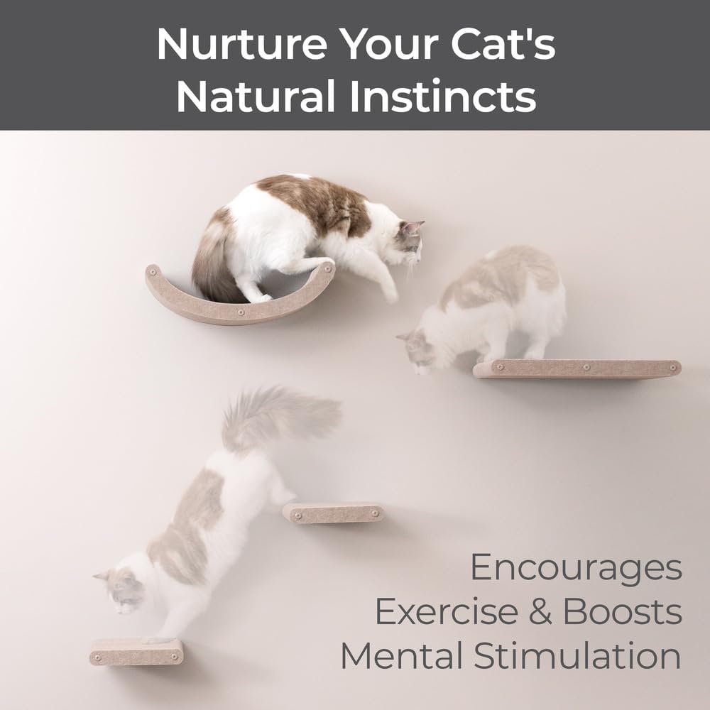 Wall Mounted Cat Shelves (Set of 4) by Pryde Pets - 100% Sustainable PET Felt Feline Enrichment Climber Furniture for Small & Large Indoor Cats, Modern Climbing Gym Jungle Design (Oatmeal)