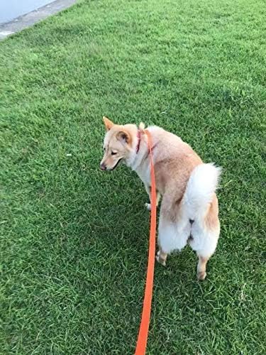 AMAGOOD Dog/Puppy Obedience Recall Training Agility Lead-15 ft 20 ft 30 ft 50 - Image 4