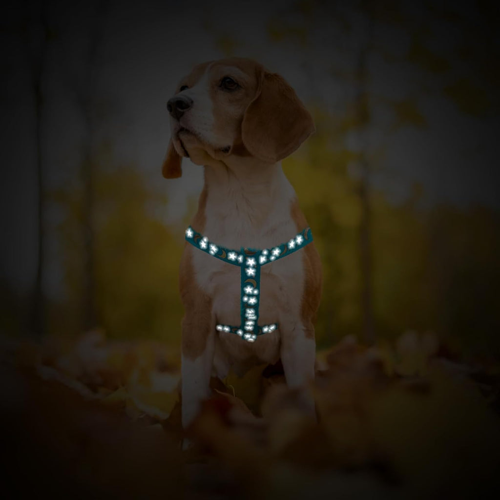 PUPTECK No Pull Dog Harness Soft Adjustable Basic Nylon Step in Puppy Vest Outdoor Walking with ID Tag, Moon Star Sky Blue, S