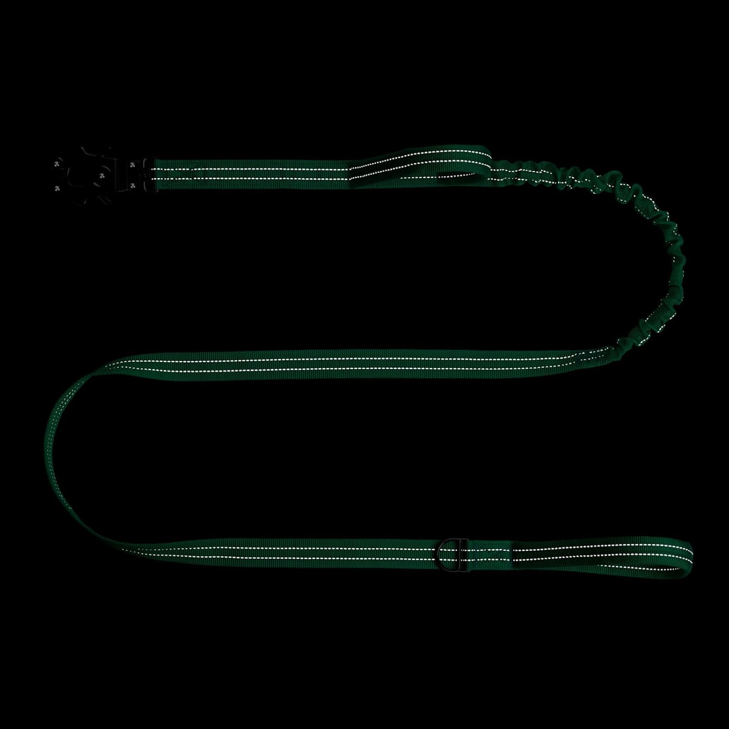 ICEFANG Tactical Dog Leash,K9 Training Walking Bungee Lead with 2 Control Handle,Heavy Duty Quick Release Metal Clasp,for Medium Large Breed (Teal, 6 FT)