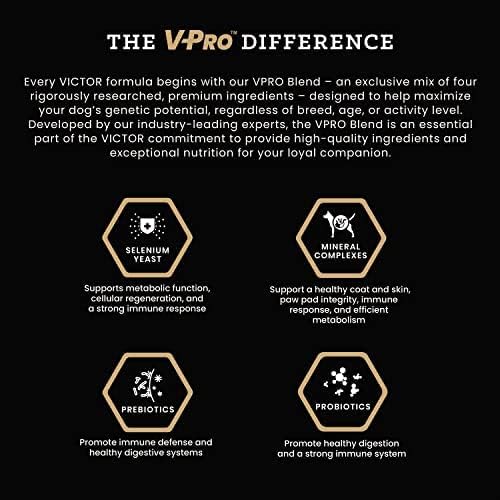 VICTOR Super Premium Dog Food – Select Ocean Fish Formula with Salmon – Omega-3 and Omega-6 Enriched Gluten-Free Dry Kibble for All Normally Active Dogs of All Life Stages, 40lbs