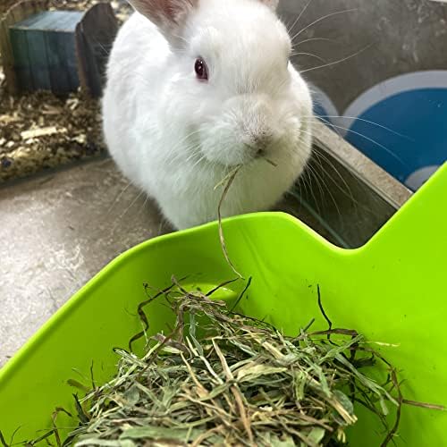 Blue Mountain Hay | Fresh Alfalfa Hay (40 Ounce) | High Leaf Retention | Nutritious High-Altitude Hay Pet Food for Rabbits, Guinea Pigs, Chinchillas, Hamsters, and Other Small Pets