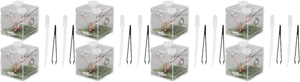 balacoo 8 Sets Jumping Spider Enclosure: Spider Cage Habitat Jumping Terrarium Micro Scorpion Droppers Reptile Hide Clear Enclosure Breeding Box Case with Breeding Tweezers