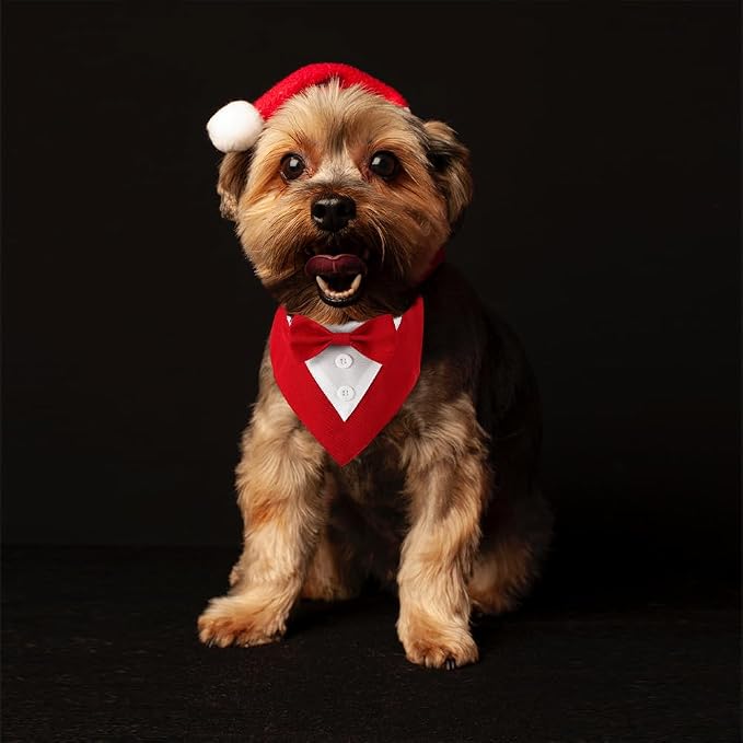 Dog Tuxedo, Formal Dog Wedding Bandana Adjustable Pet Collar - Image 4