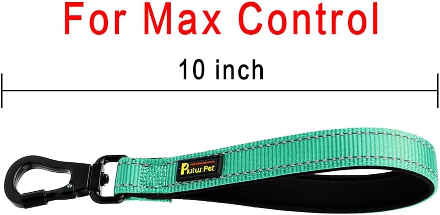 PLUTUS PET Short Dog Leash, Reflective Nylon Padded Handle, Strong Traffic Leash with Carabiner Clip, Perfect for Large or Medium Dogs (10”，Teal)