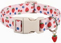 Small Dog Collar, Cute Dog Collar by Britwicfr