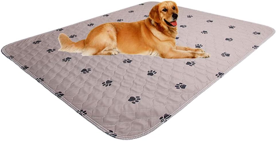 SincoPet Washable Dog Pee Pads with Puppy Grooming Gloves,Puppy Pads,Reusable Pet Training Pads,Large ,Waterproof Pet Pads for Dog Bed Mat,Super Absorbing Whelping Pads,48x48 Inch (Pack of 2)