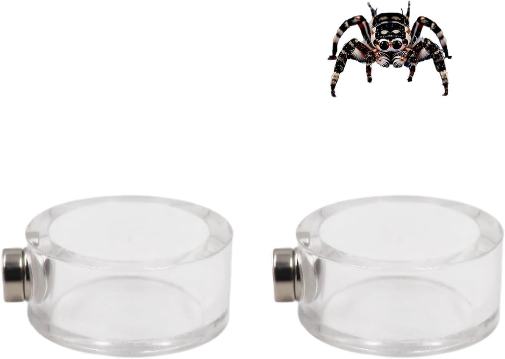 2 Pack Jumping Spider Enclosure Accessories, Leak-Proof Jumping Spider Feeding Dish with Magnet, Acrylic Water Bowl for Jumping Spider, Tarantula, Mantis, Other Small Reptiles or Insects