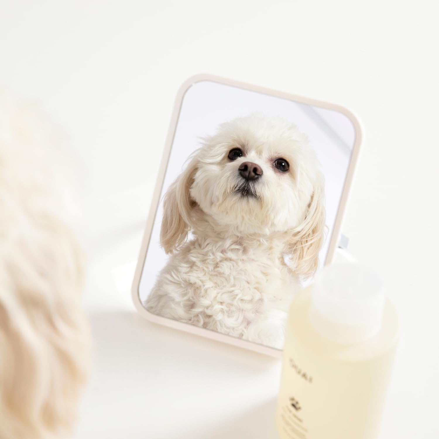 OUAI Fur Bébé Pet Shampoo, Mercer Street Scent - Dog Shampoo and Coat Wash for Hydrating, Cleansing and Adding Shine - Pet Supplies by OUAI (16 Fl Oz)