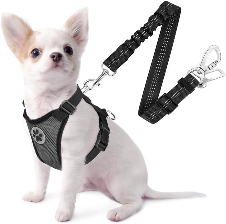 SlowTon Dog Seat Belt Harness for Car, Dog Car Harness Adjustable Mesh Breathable & Dog Seatbelt Safety Tether with Elastic Bungee for Small Medium Large Pets(Grey, Double Clip, XXS)