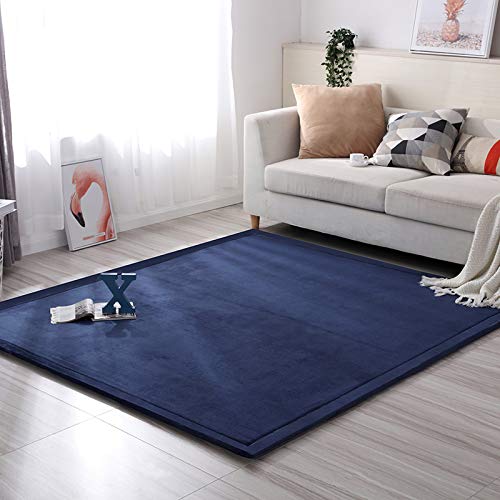 Loartee Nursery Rug - Coral Velvet Crawling Rugs & Area Rugs (6'8"x9'8", Dark Blue) for Toddler Children's Play & Yoga Mat