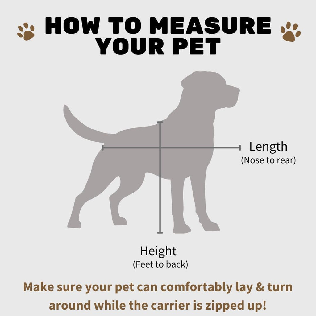 SturdiBag Pro 2.0 Pet Travel Carrier for Cats and Dogs | Soft Sided Pet Carrier Bag with Safety Clips and Seatbelt Straps for Airplane or Car Travel | Cube, Lavender