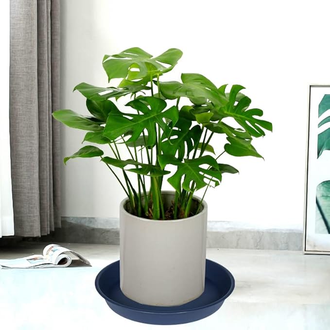 6 Pack Plant Saucer Drainage Tray, Plastic Plant Water Tray, 6 inch Flower - Image 5