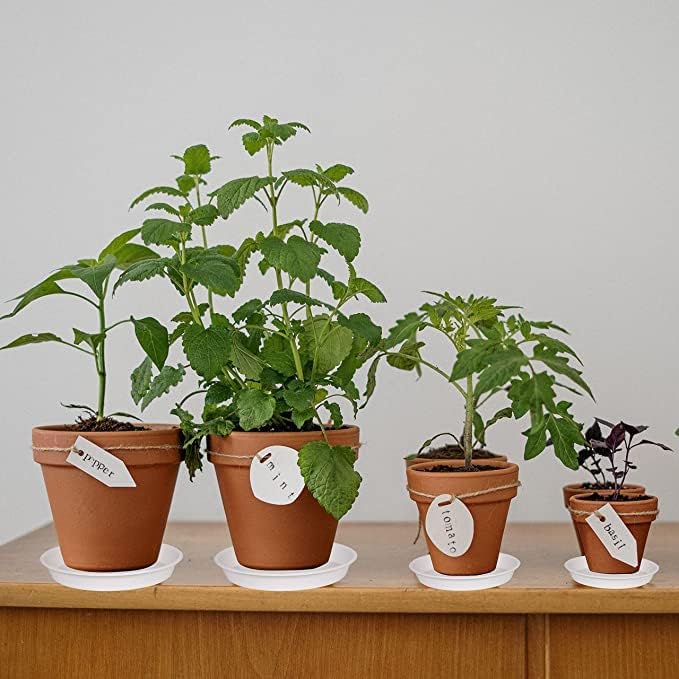 6 Pack of 8 inch Plant Saucer, Heavy Duty Plastic Plant Drip Trays 8" Round - Image 4