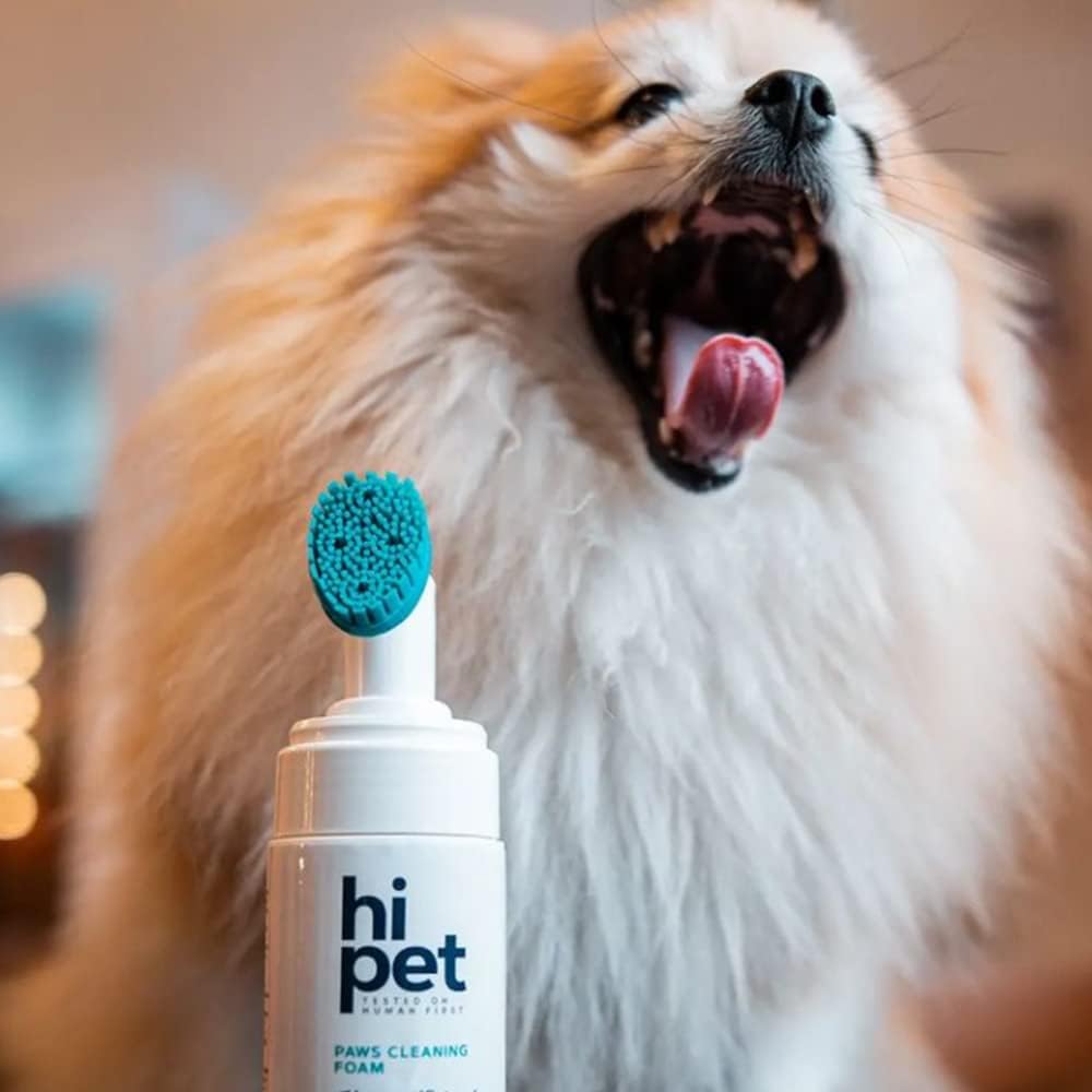 Hi Pet Dog Paw Cleaner Foam with Built-in Paw Scrubber Brush, Paw Cleaner for Dogs and Cats, Cat and Dog Paw Moisturizer, Effortless and Easy-to-Use Bottle Design Dog Feet Cleaner (Pack of 2)
