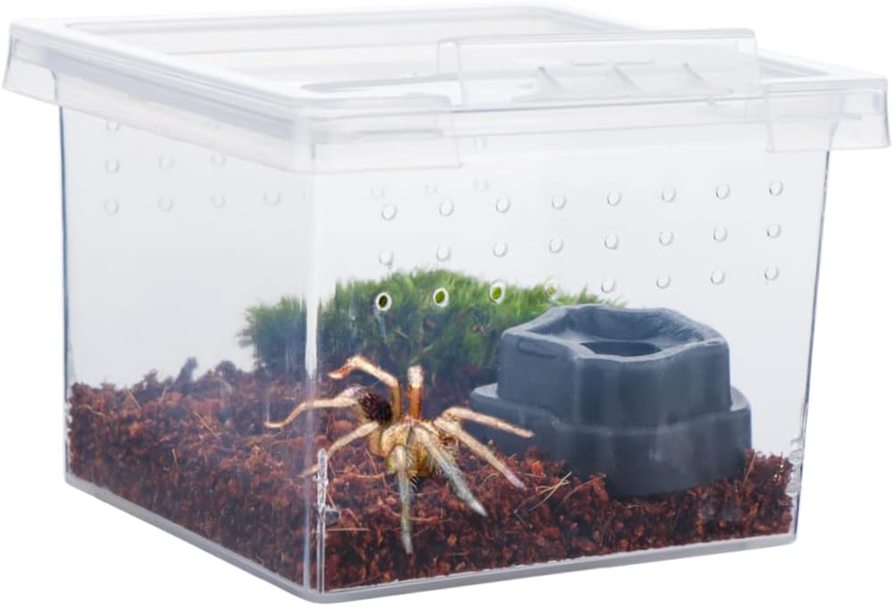 10 Pack Small Size Spider Terrariums Breeding Box Hatching Container Insect Scorpion Centipede Acrylic Breeding Box (with 10 Pcs Micro Water Bowl