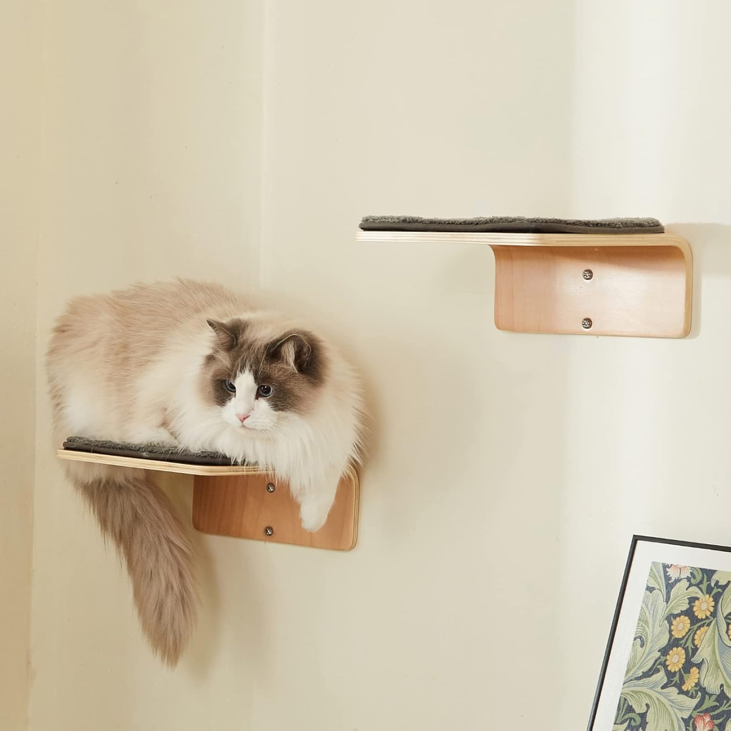 2 Set Cat Wall Steps - Wooden Cat Climbing Shelf for Wall - Cats Wall Stairs with Scratching Mat - Wall Mounted Cats Furniture for Jumping, Playing, and Lounging