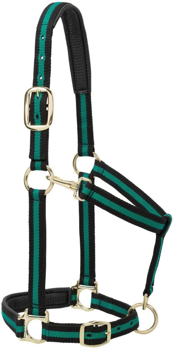 Weaver Equine Nylon Horse Halter, Triple-Ply Cheek Design, Original Non Adjustable Halters for Horses, Equine Tack,Average Size, Black
