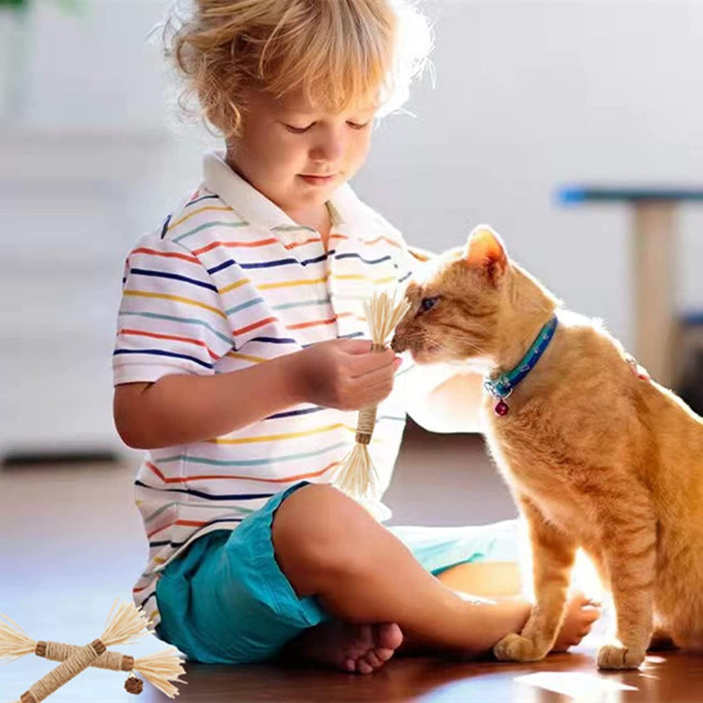 Cat Toys 21Pack Silvervine Chew Stick Kitten Treat Catnip Toy Kitty Natural Stuff Catnip for Cleaning Teeth Indoor Dental Snack Interactive