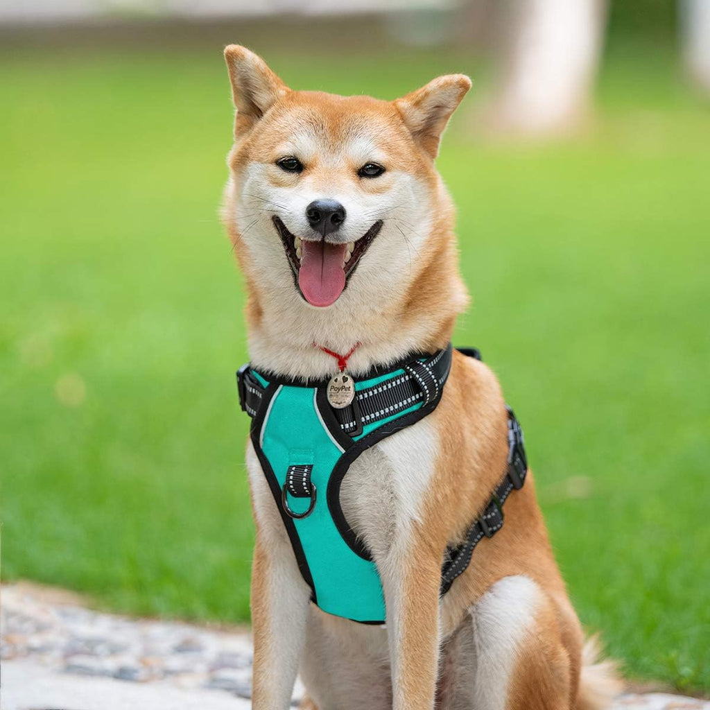 PoyPet No Pull Dog Harness, Reflective Comfortable Vest Harness with Front & Back 2 Leash Attachments and Easy Control Handle Adjustable Soft Padded Pet Vest for Small to Large Dogs (Mint Blue,S)