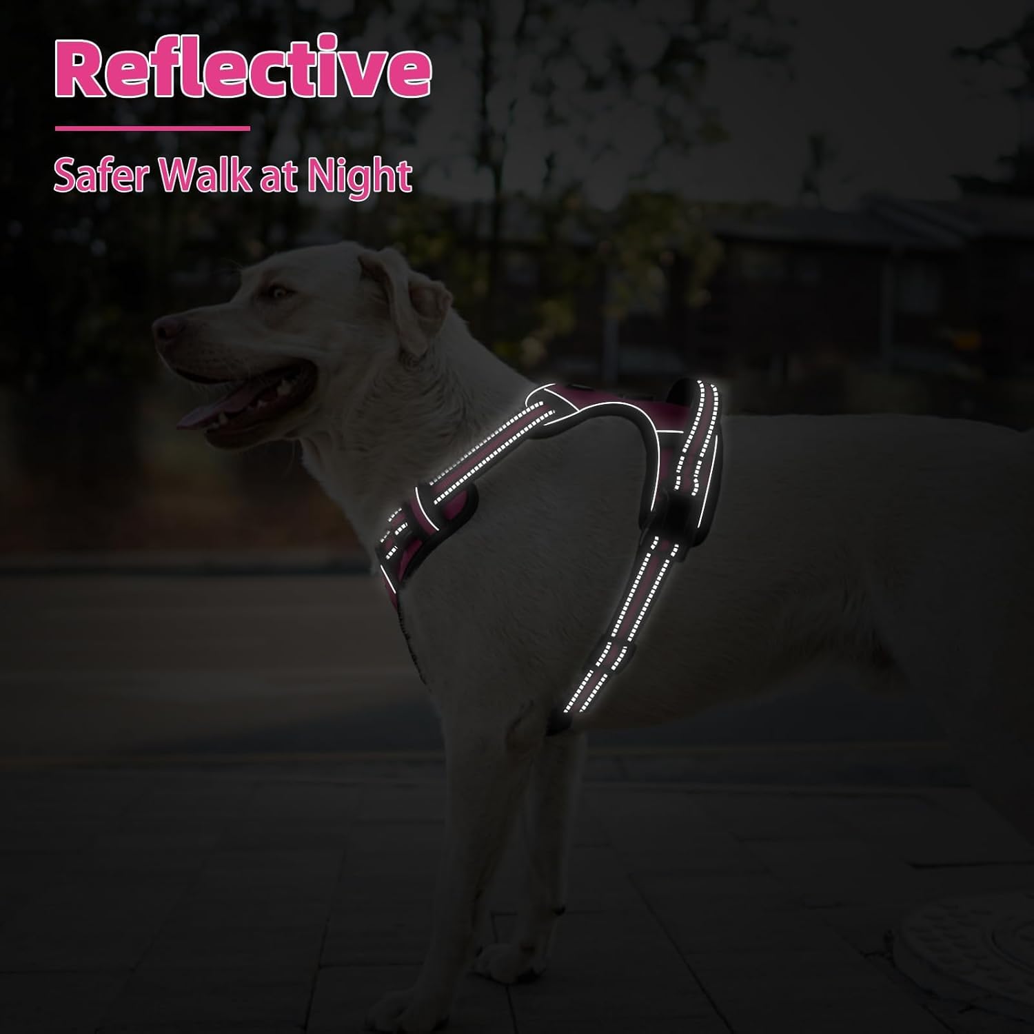 PUPTECK No Pull Dog Harness Small Sized, Adjustable Reflective Dog Harness with Handle Easy Control, Comfortable Soft Padded Pet Vest Harness for Small Dogs, Fuschia S