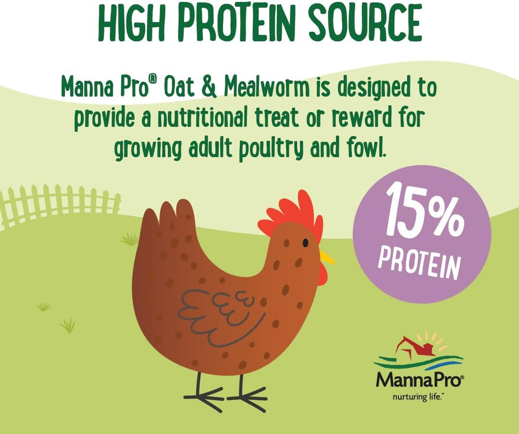 Manna Pro Farmhouse Favorites Oat & Mealworm Mix Poultry Treat – Natural Protein Source – Encouraging Poultry Treat – Mix of Oats, Peanuts, Raisins, Mealworms, Sunflower Kernels – 2lbs