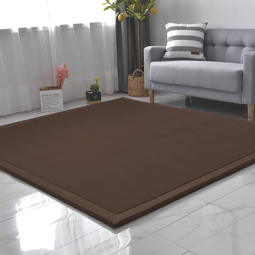 Loartee Coral Velvet Crawling Rug (4'11" X 4'11") for Toddlers - Coffee Area Rug Play Mat, Yoga Mat Exercise Pad, Carpet