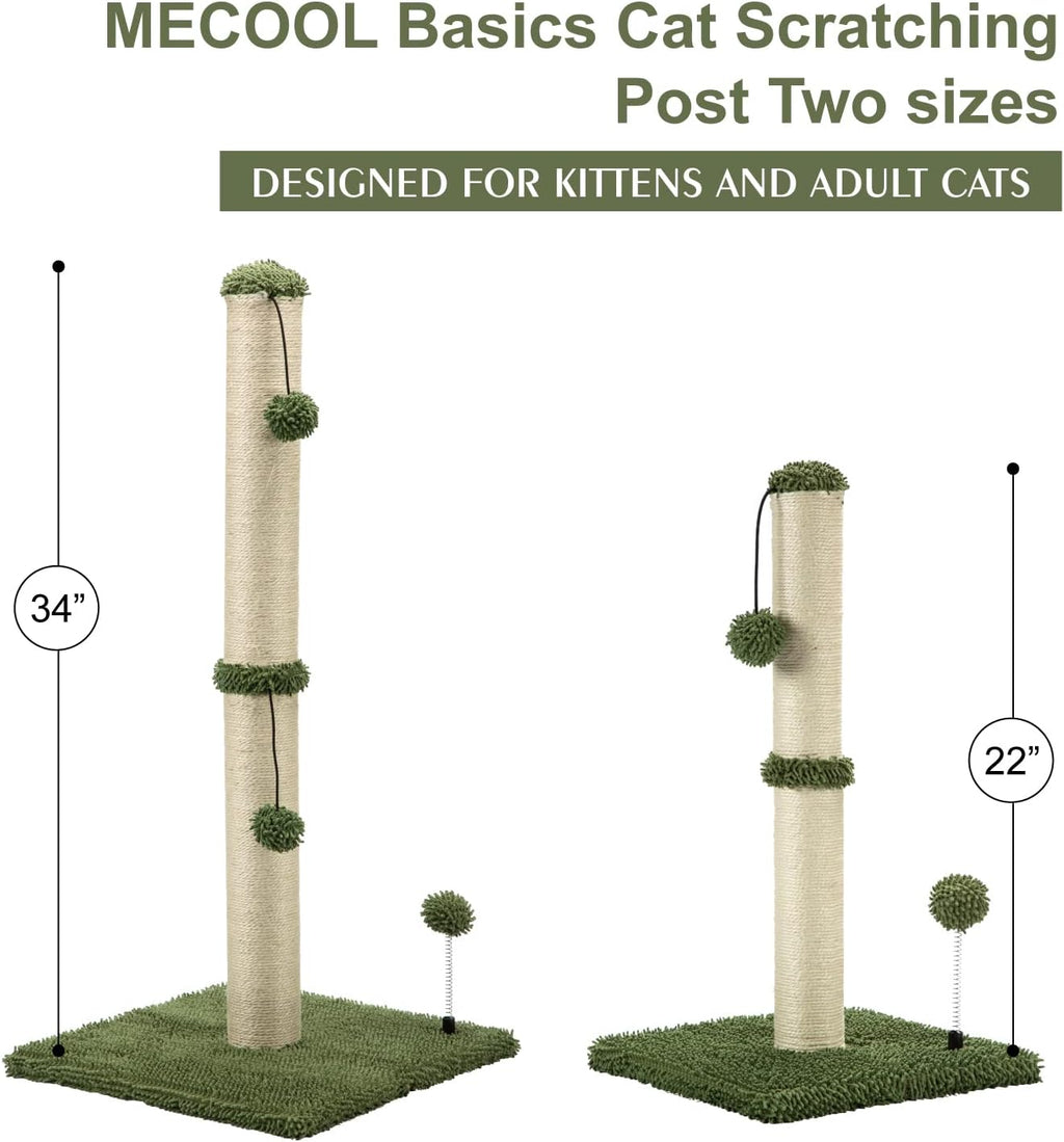 MECOOL Cat Scratching Post Premium Basics Kitten Scratcher Sisal Scratch Posts with Hanging Ball 22in for Kittens or Smaller Cats, Cactus Green
