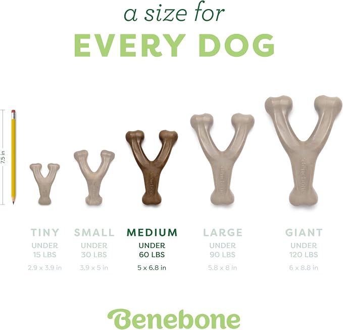 Benebone 2-Pack Wishbone Durable Dog Chew Toy - Image 4