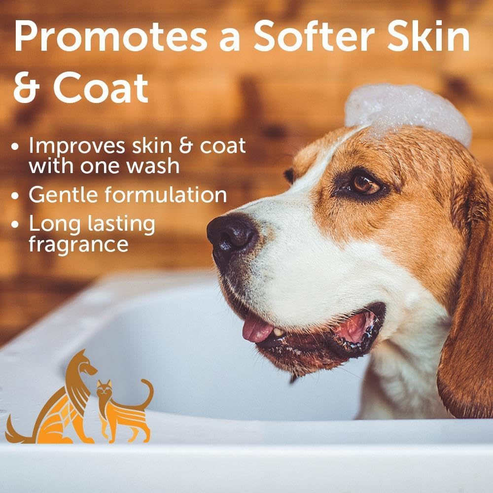 Nootie - Pet Shampoo for Sensitive Skin - Revitalizes Dry Skin & Coat - Natural Ingredients - Gentle Dog Shampoo - Cleans & Conditions,16 oz