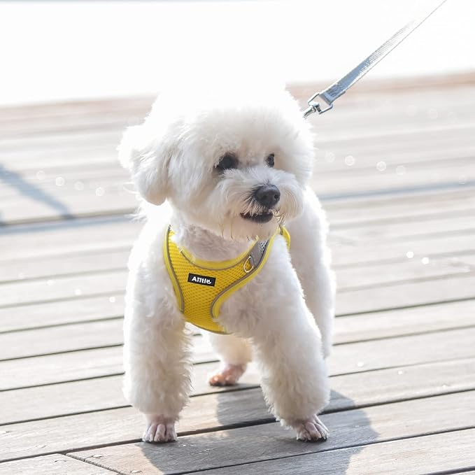 AIITLE Escape Proof Dog Harness - Image 2