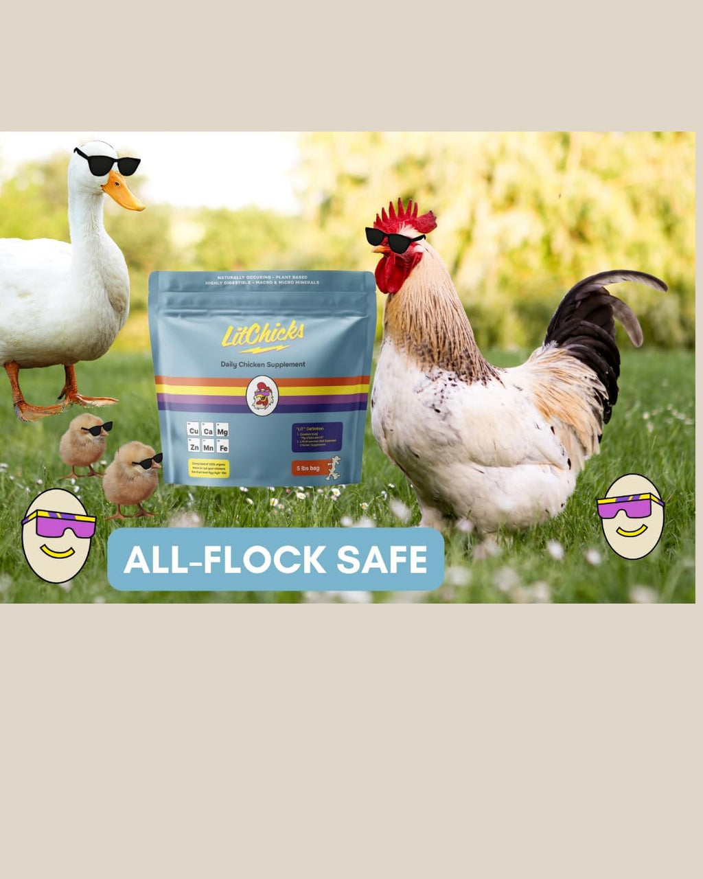 LitChicks’ Calcified Seaweed for Laying Chickens - Crushed Oyster Shell Alternative - Highly Digestible - Single Ingredient - Helps with Egg Laying & Flock Health. (5lbs)
