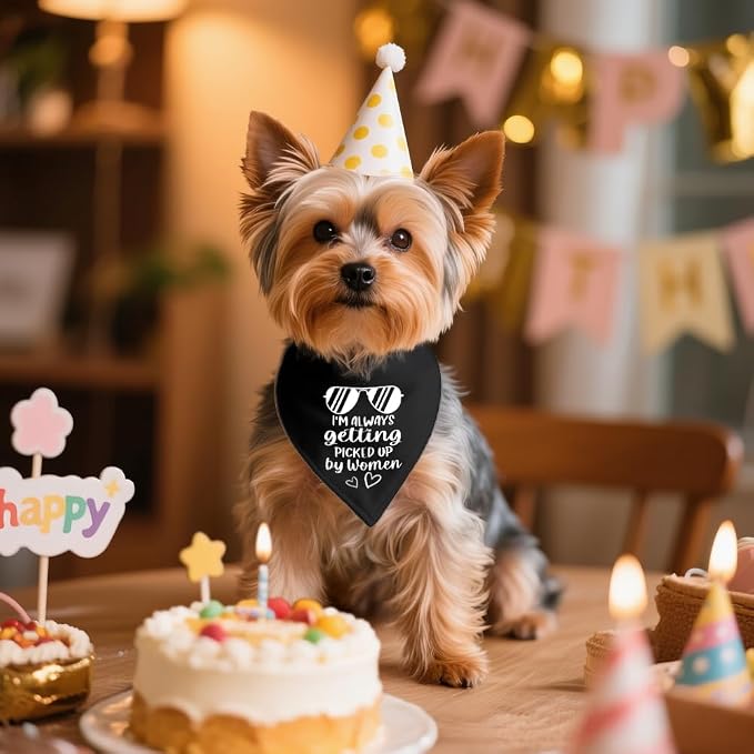 I'm Always Getting Picked Up by Women Black Dog Bandana, Christmas Birthday - Image 4