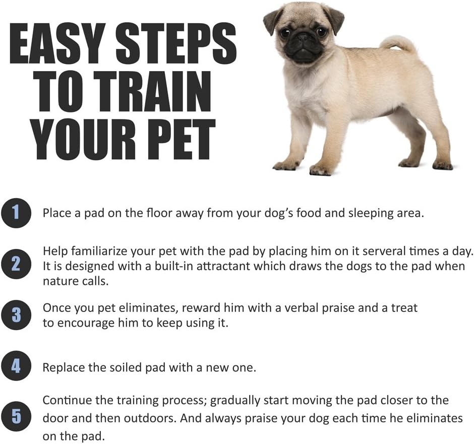 BV Puppy Pads XL 20 Count 28"x34" - Leak-Proof Pee Pads for Dogs with 6-Layer Design, Rapid Dry Sheet & Attractant - Dog Pad Extra Large with Odor Control - Perfect for Big Dogs & Indoor Use