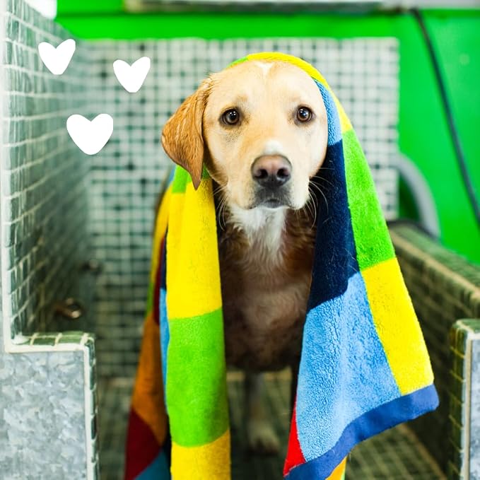 earthbath Oatmeal and Aloe Dog Shampoo- Oatmeal Shampoo - Image 5