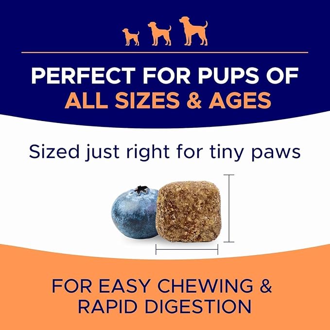 Dog Allergy Relief Chews — Anti-Itch Skin & Coat Supplement: No Fillers - Image 6