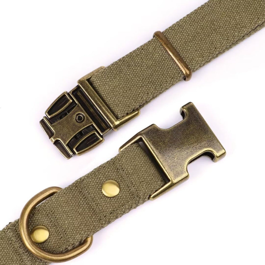PET ARTIST Dog Collars for Medium Dogs, Soft Padded Premium Nylon Dog Collar with Quick Release Metal Buckle, Durable & Adjustable Pet Collars for Boy Gifts, Green, M (Fit 13-20")