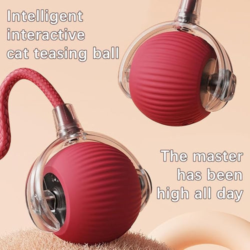 2 Packs Interactive Cat Toy, Electric DogBall Toy, Cat Toys - Image 2