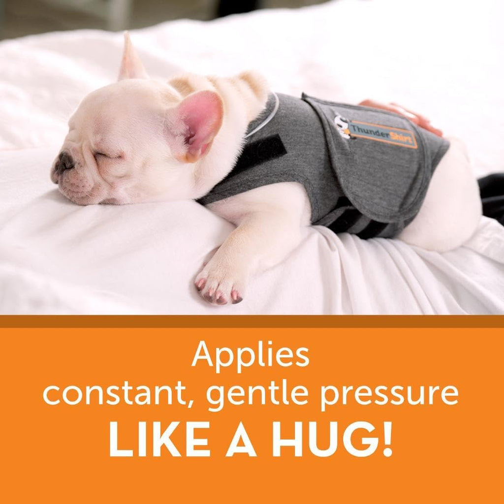 ThunderShirt for Dogs, Small, Heather Gray Classic - Dog Anxiety Relief Calming Vest