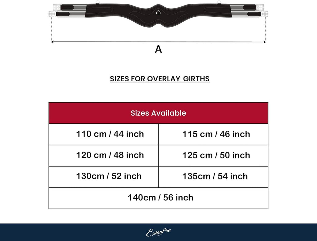 Exion Designer Anatomic Snap Over Lay Girth | Comfortable Leather Horse Girth for English Saddles | Jumping & Riding