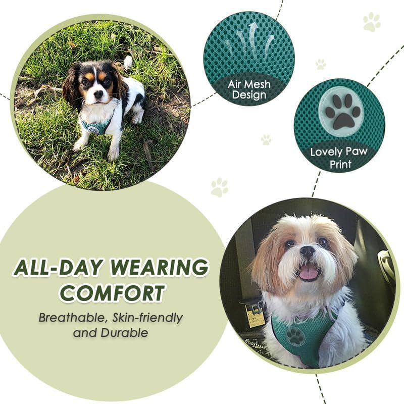 SlowTon Dog Seat Belt Harness for Car, Dog Car Harness Adjustable Mesh Breathable & Dog Seatbelt Safety Tether with Elastic Bungee for Small Medium Large Pets(Green, Double Clip, XXXS)