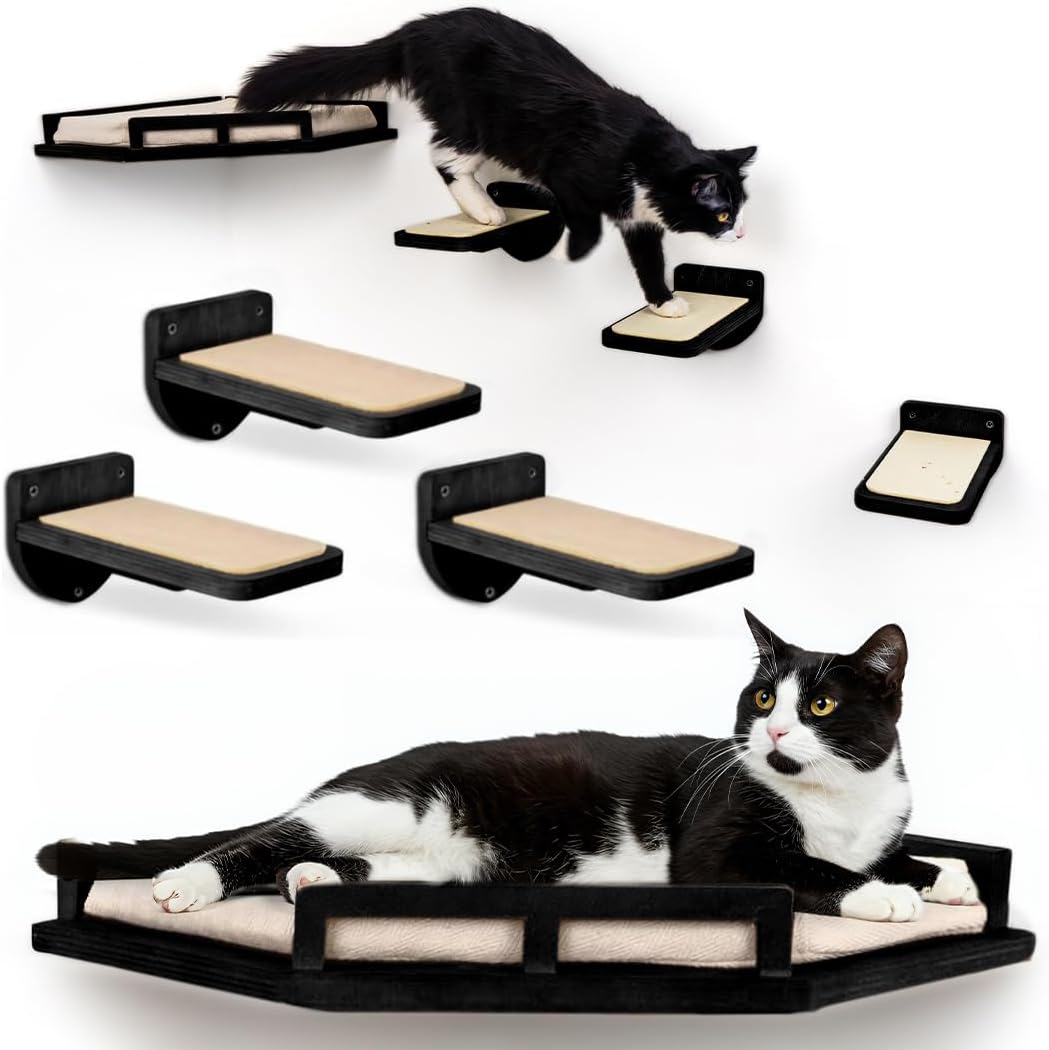 INICIO Cat Wall Shelves - Modern and Durable 3 Step Cat Furniture for Wall - Stylish Birch Floating Shelf for Cats up to 15lbs - Wooden Corner Shelves with Cushioned Perch - Black