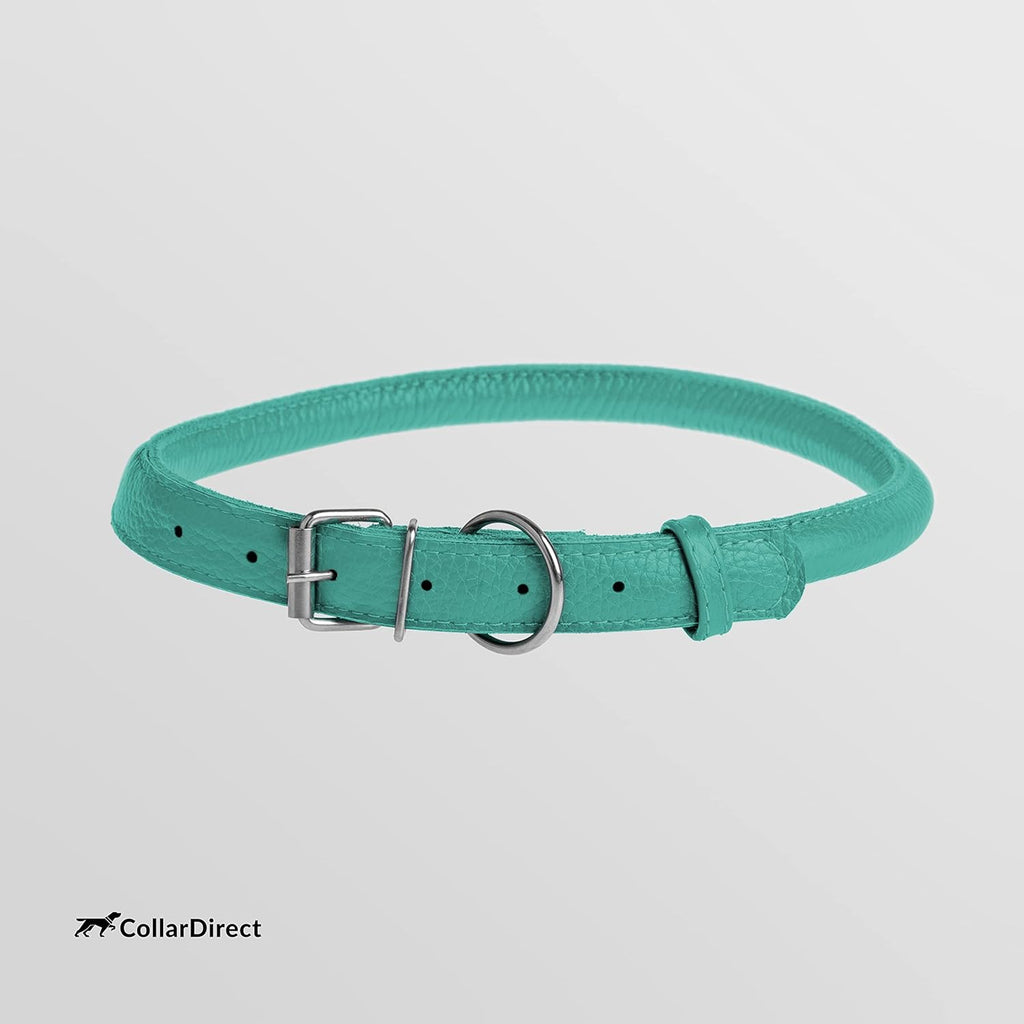 CollarDirect Rolled Leather Dog Collar, Soft Padded Round Puppy Collar, Handmade Genuine Leather Collar Dog Small Large Cat Collars 13 Colors (11-14 Inch, Mint Green Textured)