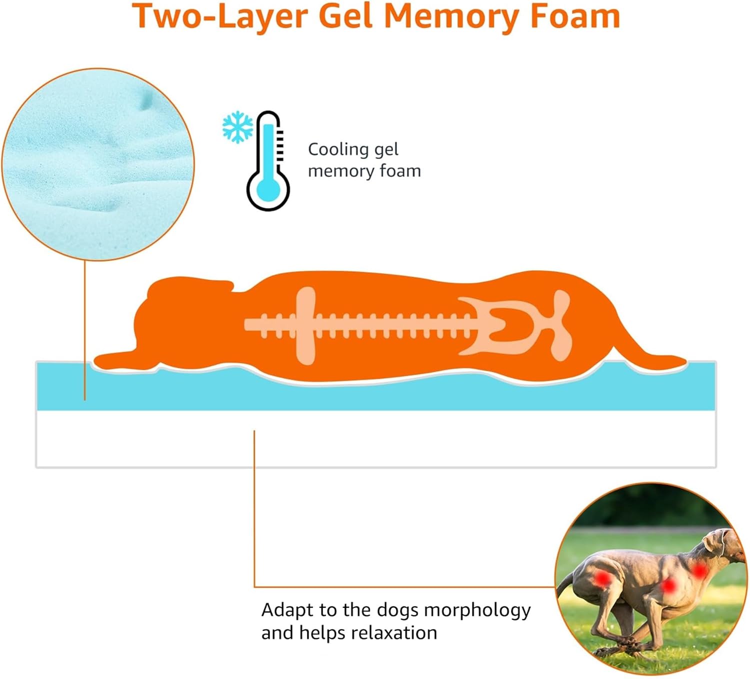 Amazon Basics Dog Bed with Cooling Gel Memory Foam, Pressure-Relief Support for Dogs up to 50lbs, Non-Slip Bottom, Machine Washable Cover, Large Sized (35" x 22"), Grey